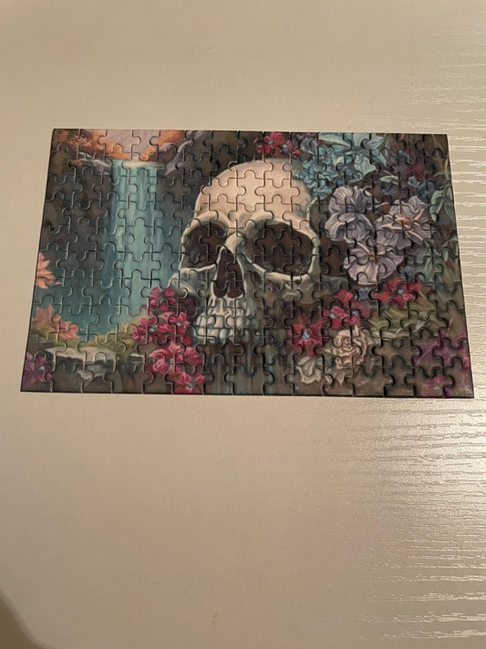 Micro skull river puzzle